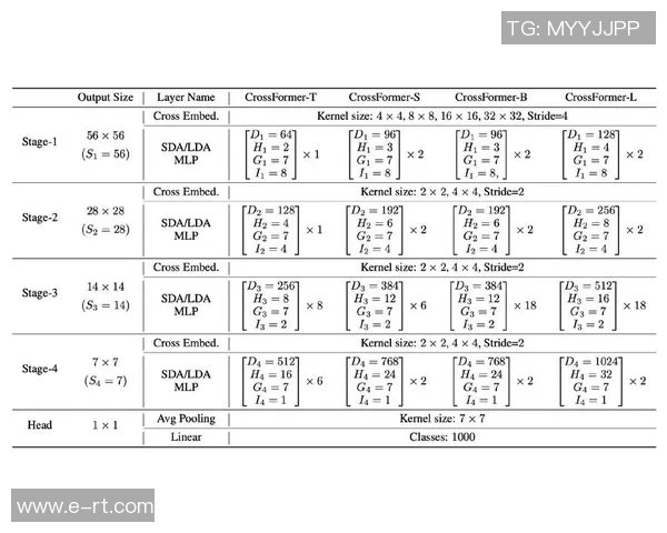 深圳羽毛球队运营分析：成功经验与面临挑战的深度探讨