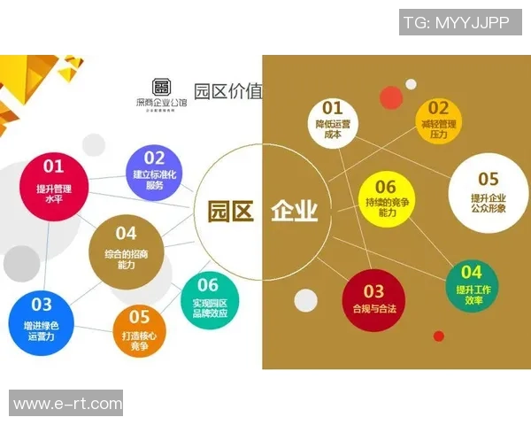 南京网球队运营分析：成功经验与面临挑战的深度探讨